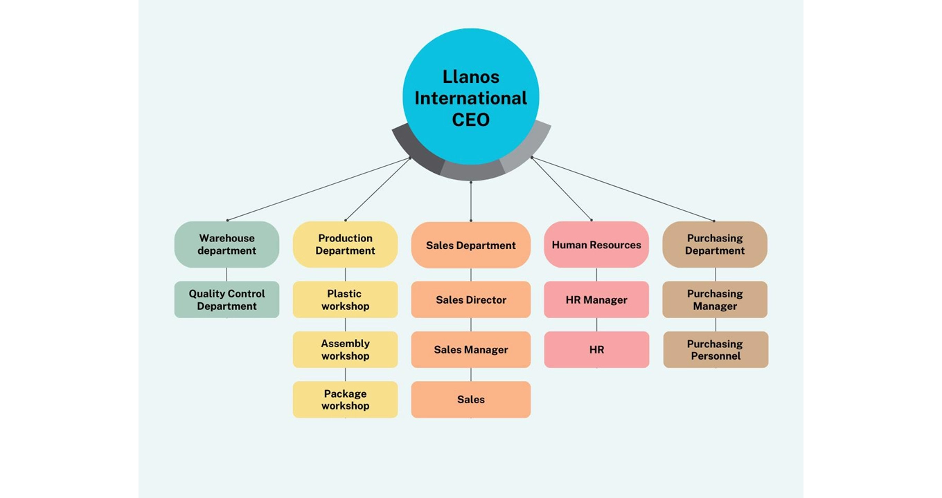 Company Structure