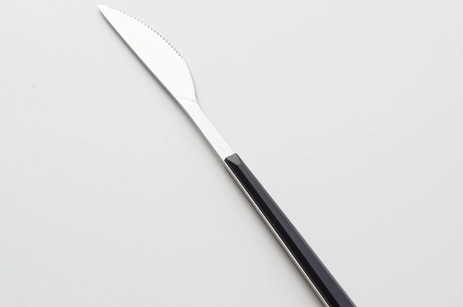 ABS Steak Knife