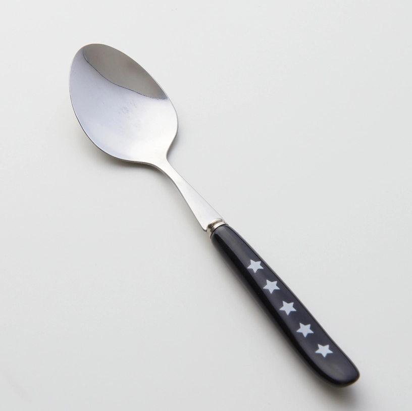 ceramic handle flatware