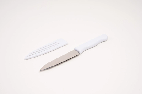 ABS White Handle Fruit Knife